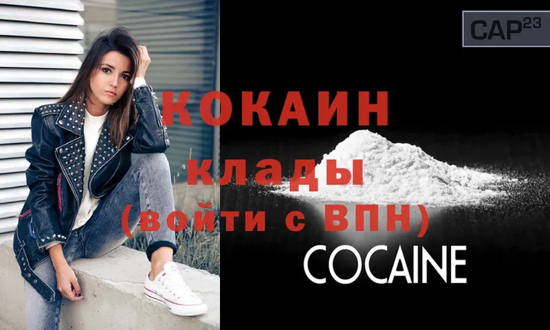 дарнет шоп  Заводоуковск  COCAIN Fish Scale 